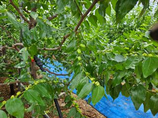 대추 9544님의 자유주제 · 자유게시판 작성글 사진