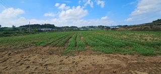 김홍겸님의 자유주제 · 자유게시판 작성글 사진