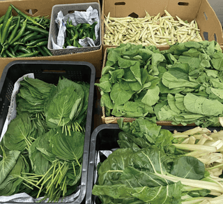 누보농장님의 자유주제 · 자유게시판 작성글 사진