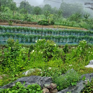 훈&팜님의 작성글 사진