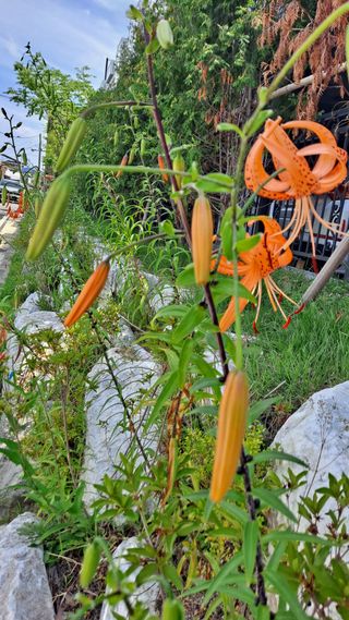 MSG0074님의 자유주제 · 자유게시판 작성글 사진