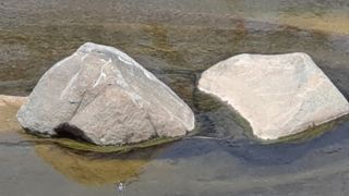 MSG0074님의 자유주제 · 자유게시판 작성글 사진