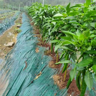 훈&팜님의 작성글 사진