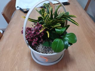 알 수 없음님의 자유주제 · 자유게시판 작성글 사진