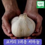 팜모닝 · 게시글 이미지
