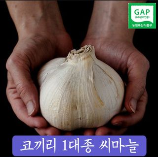 조한솔님의 작성글 사진
