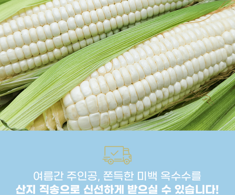스피드번님의 장터 판매 상품 [미백 찰 옥수수] 첨부 사진