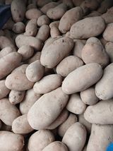 팜모닝 자유주제·사진전 게시글 이미지