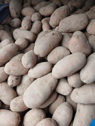 최광순님의 자유주제 · 사진전 작성글 사진