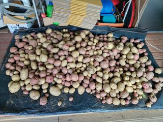 ♡5도2촌pys♡님의 자유주제 · 사진전 작성글 사진