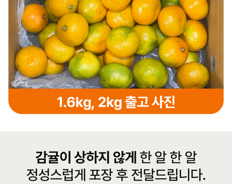 메종루엘님의 장터 판매 상품 [제주 하우스감귤] 첨부 사진