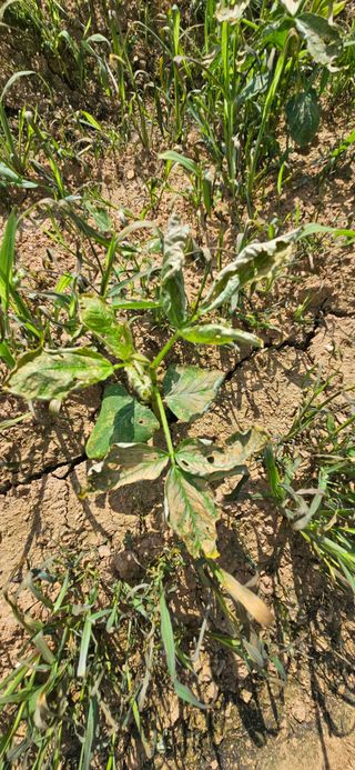 김홍겸님의 자유주제 · 자유게시판 작성글 사진