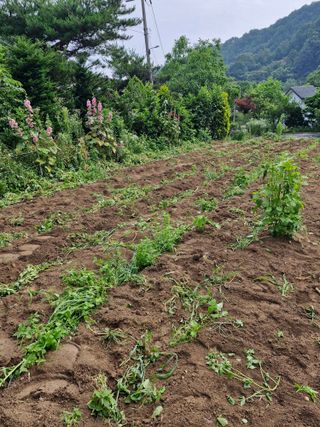 ♡5도2촌pys♡님의 자유주제 · 사진전 작성글 사진