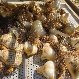 조한솔님의 작성글 사진