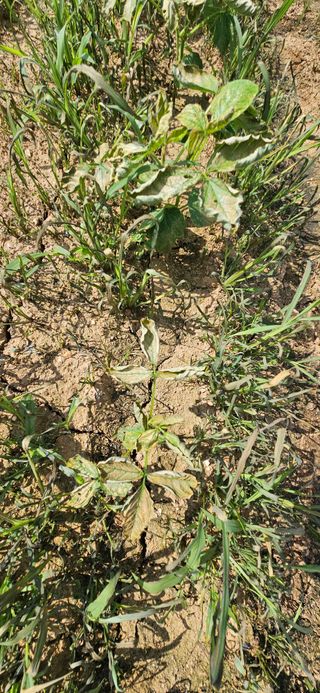 김홍겸님의 자유주제 · 자유게시판 작성글 사진