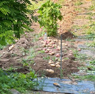 ♡5도2촌pys♡님의 자유주제 · 사진전 작성글 사진