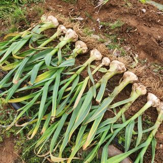 조한솔님의 작성글 사진