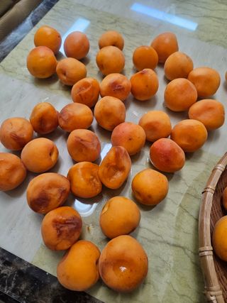 이상만님의 자유주제 · 자유게시판 작성글 사진