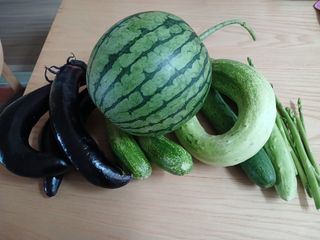 금동이네님의 자유주제 · 자유게시판 작성글 사진