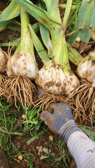 조한솔님의 작성글 사진