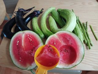 금동이네님의 자유주제 · 자유게시판 작성글 사진