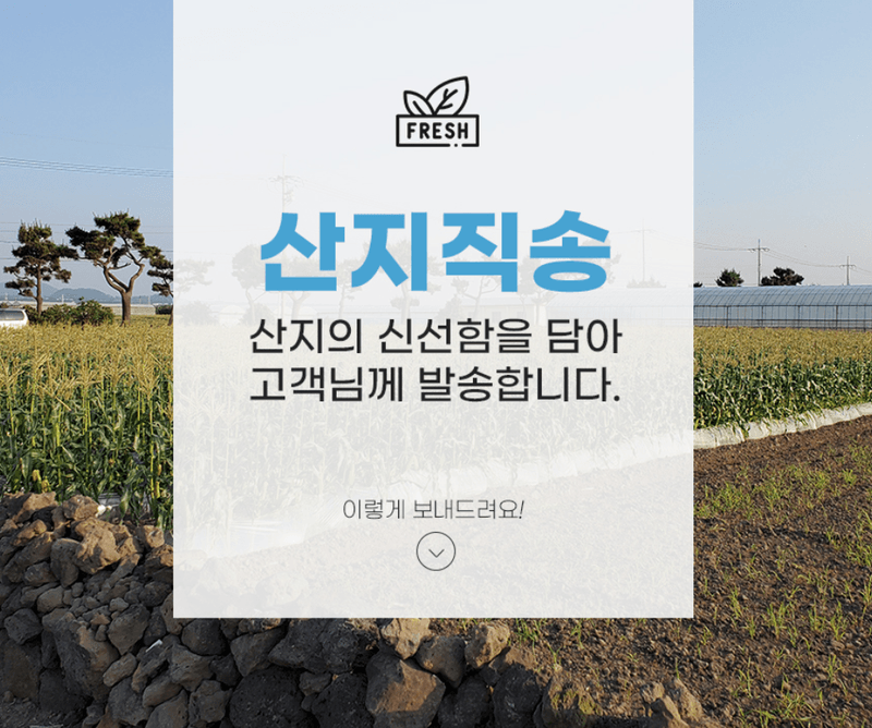 스피드번님의 장터 판매 상품 [미백 찰 옥수수] 첨부 사진
