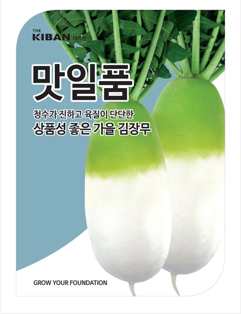 대산농사대장님의 장터 판매 상품 [김장무  맛일품  맛좋고 상품성우수 더기반] 첨부 사진