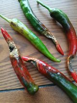 팜모닝 고추·병해충상담 게시글 이미지