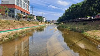 MSG0074님의 자유주제 · 자유게시판 작성글 사진