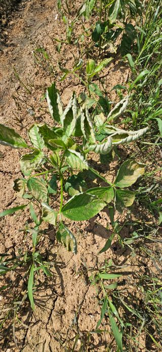 김홍겸님의 자유주제 · 자유게시판 작성글 사진