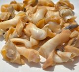 팜모닝 · 게시글 이미지