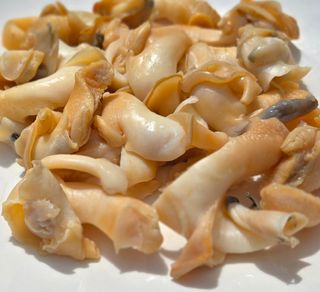 농수사님의 작성글 사진