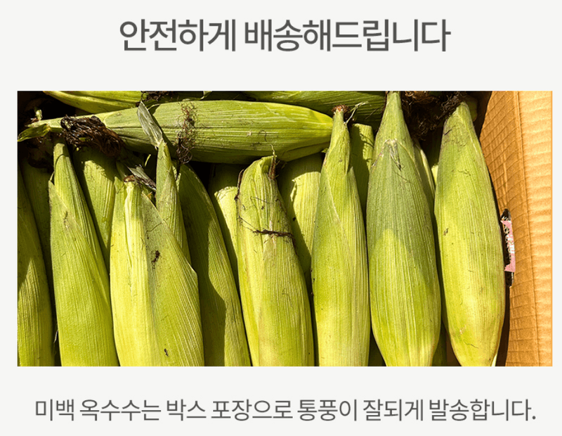 스피드번님의 장터 판매 상품 [미백 찰 옥수수] 첨부 사진