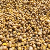 팜모닝 · 게시글 이미지