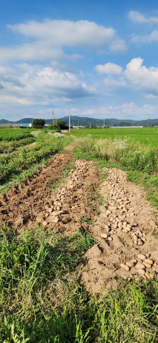 조성현님의 작성글 사진