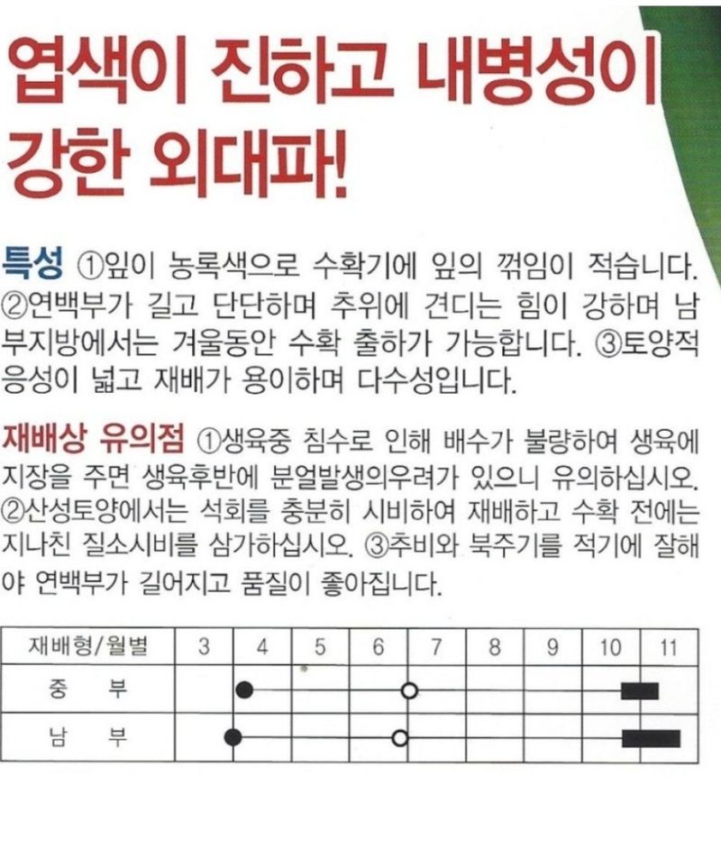 대산농사대장님의 장터 판매 상품 [블랙스타 흑금장 대파 종자 20g 전문농사 외대파] 첨부 사진