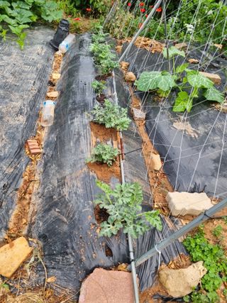 이남신님의 자유주제 · 자유게시판 작성글 사진