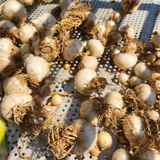 조한솔님의 작성글 사진