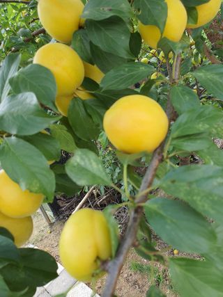 차상철님의 자유주제 · 자유게시판 작성글 사진