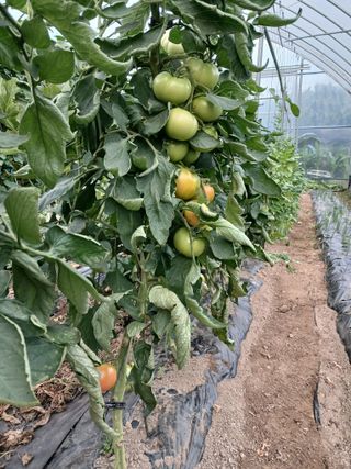 최광순님의 자유주제 · 사진전 작성글 사진