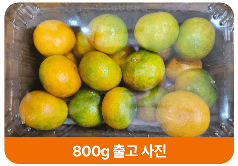 메종루엘님의 장터 판매 상품 [제주 하우스감귤] 첨부 사진