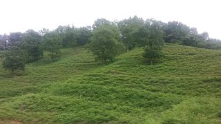 알 수 없음님의 자유주제 · 자유게시판 작성글 사진