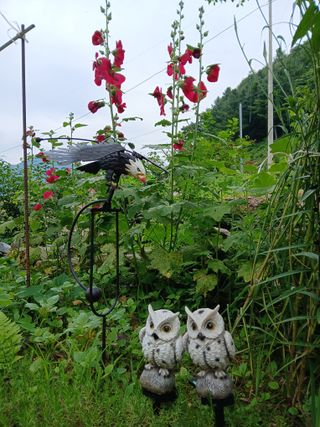 인생은 소풍처럼님의 자유주제 · 자유게시판 작성글 사진