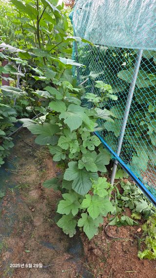 이종선님의 작성글 사진