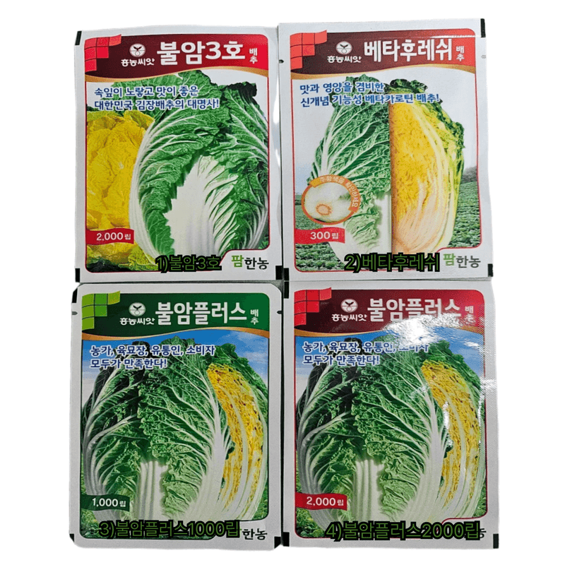대산농사대장님의 장터 판매 상품 [불암3호 배추씨앗  ] 첨부 사진