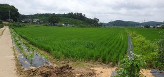 이흥옥님의 자유주제 · 자유게시판 작성글 사진