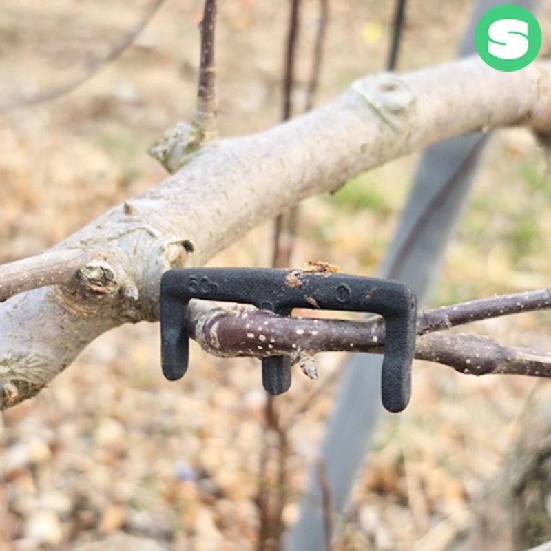 장터 상품 [이클립 대량 E크립 가지유인 상인농자재] 썸네일