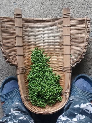 몽자아빠님의 자유주제 · 자유게시판 작성글 사진