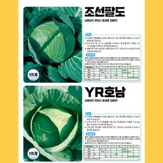 아시아종묘님의 자유주제 · 자유게시판 작성글 사진