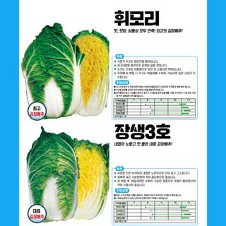 아시아종묘님의 자유주제 · 자유게시판 작성글 사진